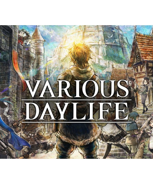 VARIOUS DAYLIFE Steam Key EUROPE